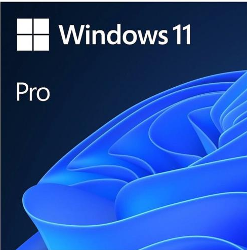 Microsoft Windows 11 Pro TR kutu